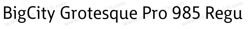BigCity Grotesque Pro 985 Regular字体转换
